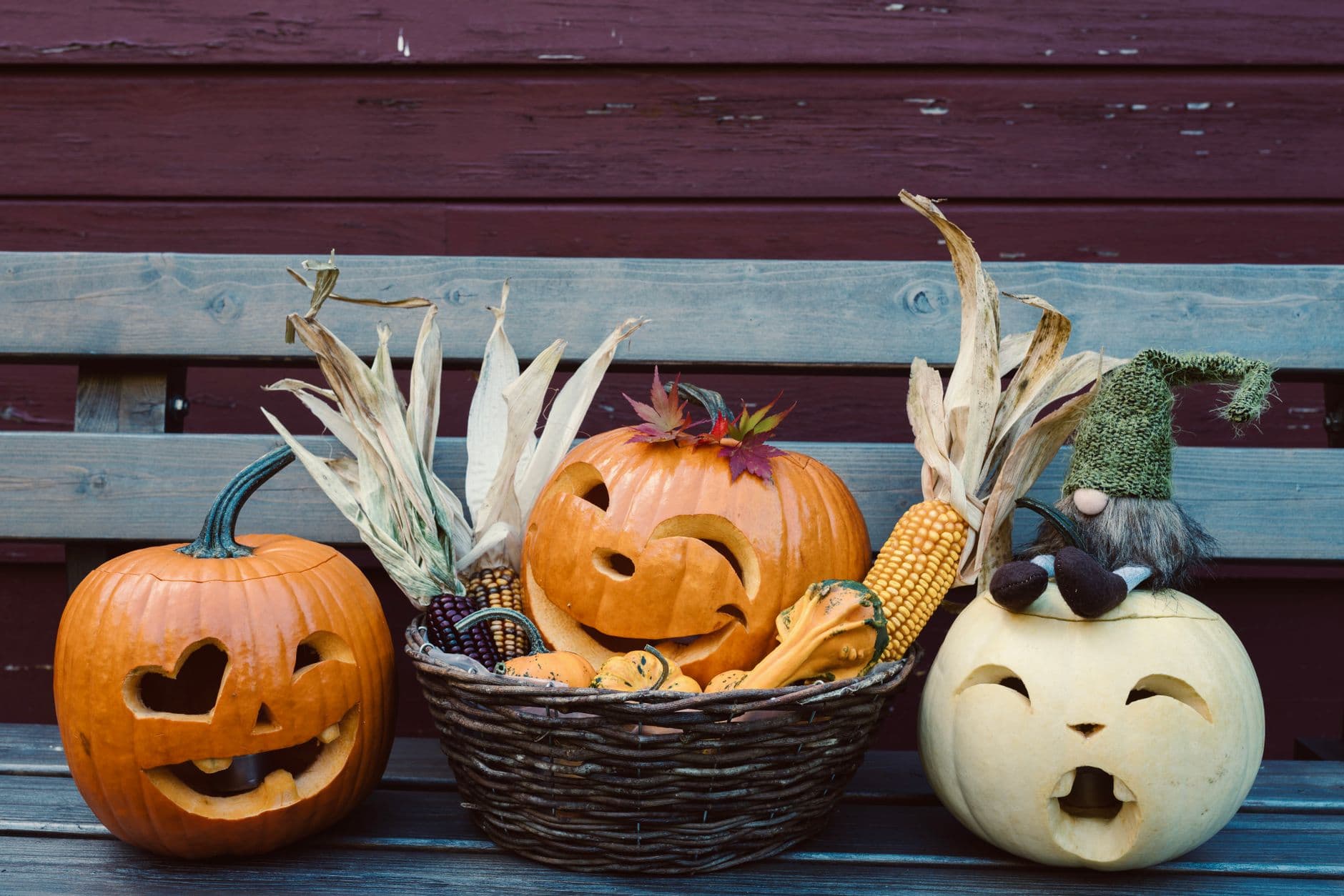 Harvest bench lineup