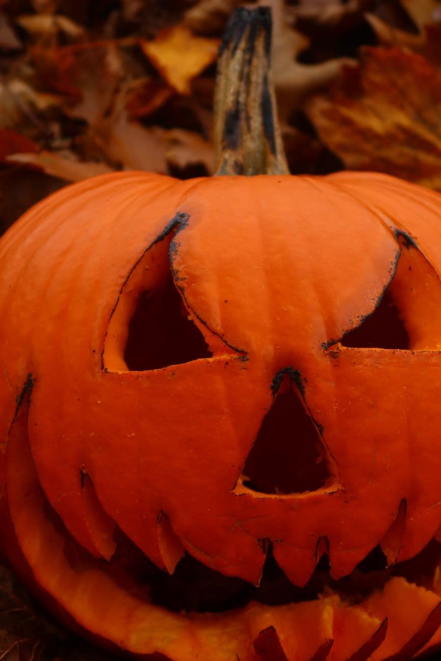 Giggling gourd