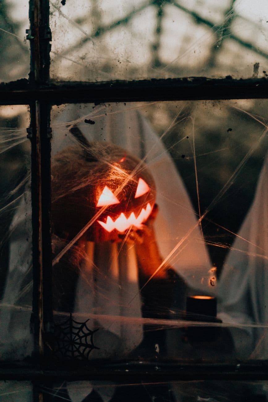 Behind the greenhouse glass