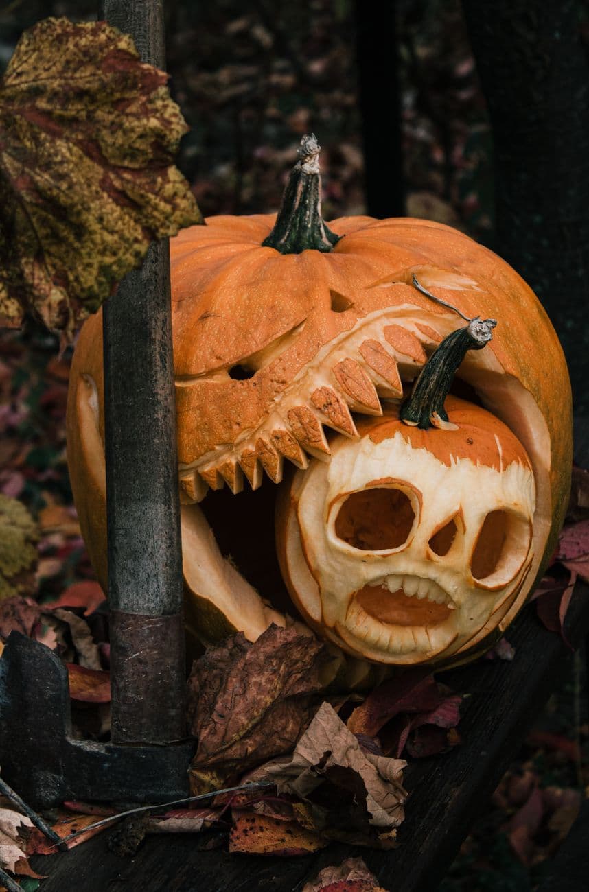 Skull for supper