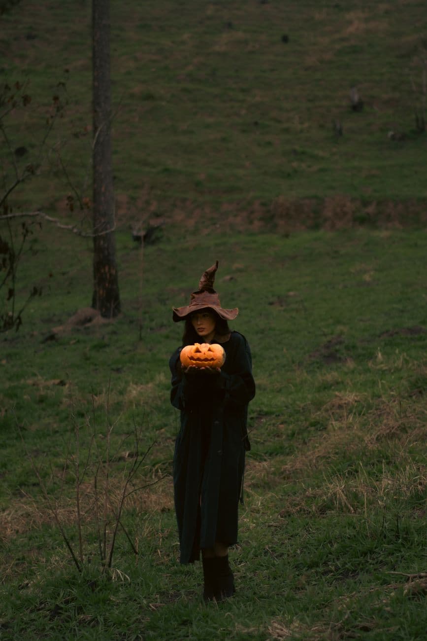 Lantern in the meadow