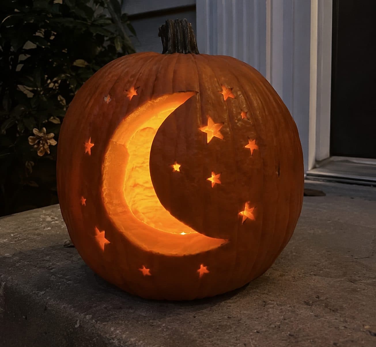 Starry Moon