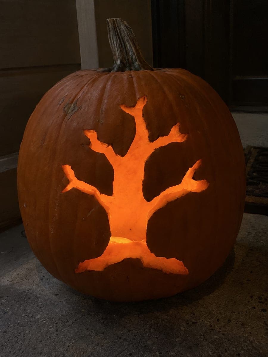 Bare Branch Spooky Tree Silhouette Pumpkin