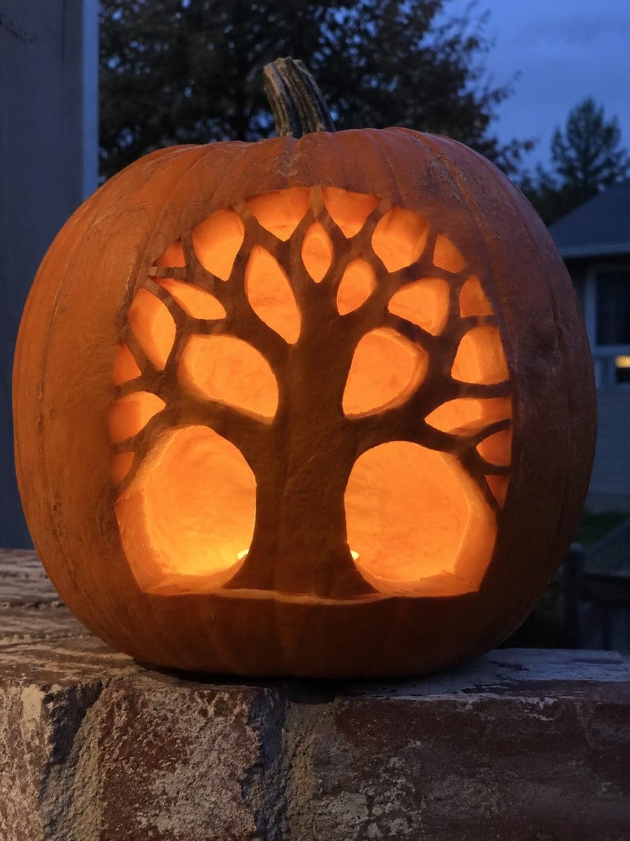 Bare Tree Pumpkin with Arched Window and Sky Cutouts