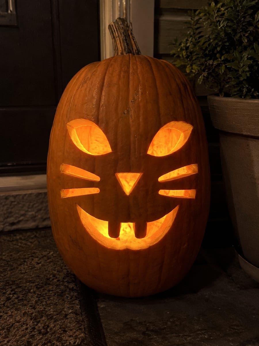 Carved Cat Face Oblong Pumpkin on a Night Porch