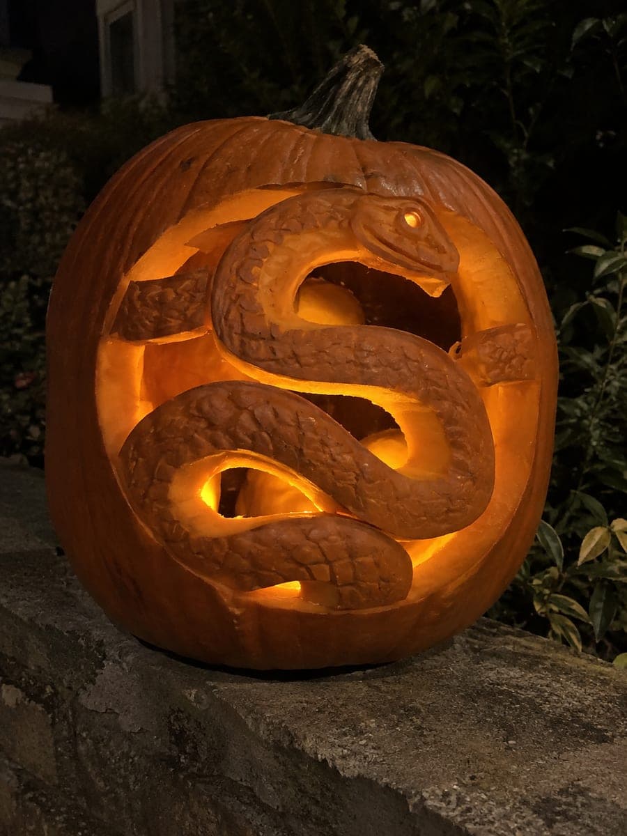 Coiled Snake with Scale Texture Retained Pumpkin