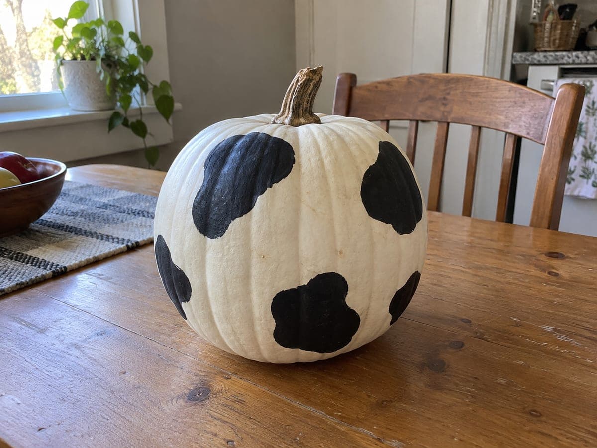 Cow-Spot Painted White Pumpkin With Bold Black Patches