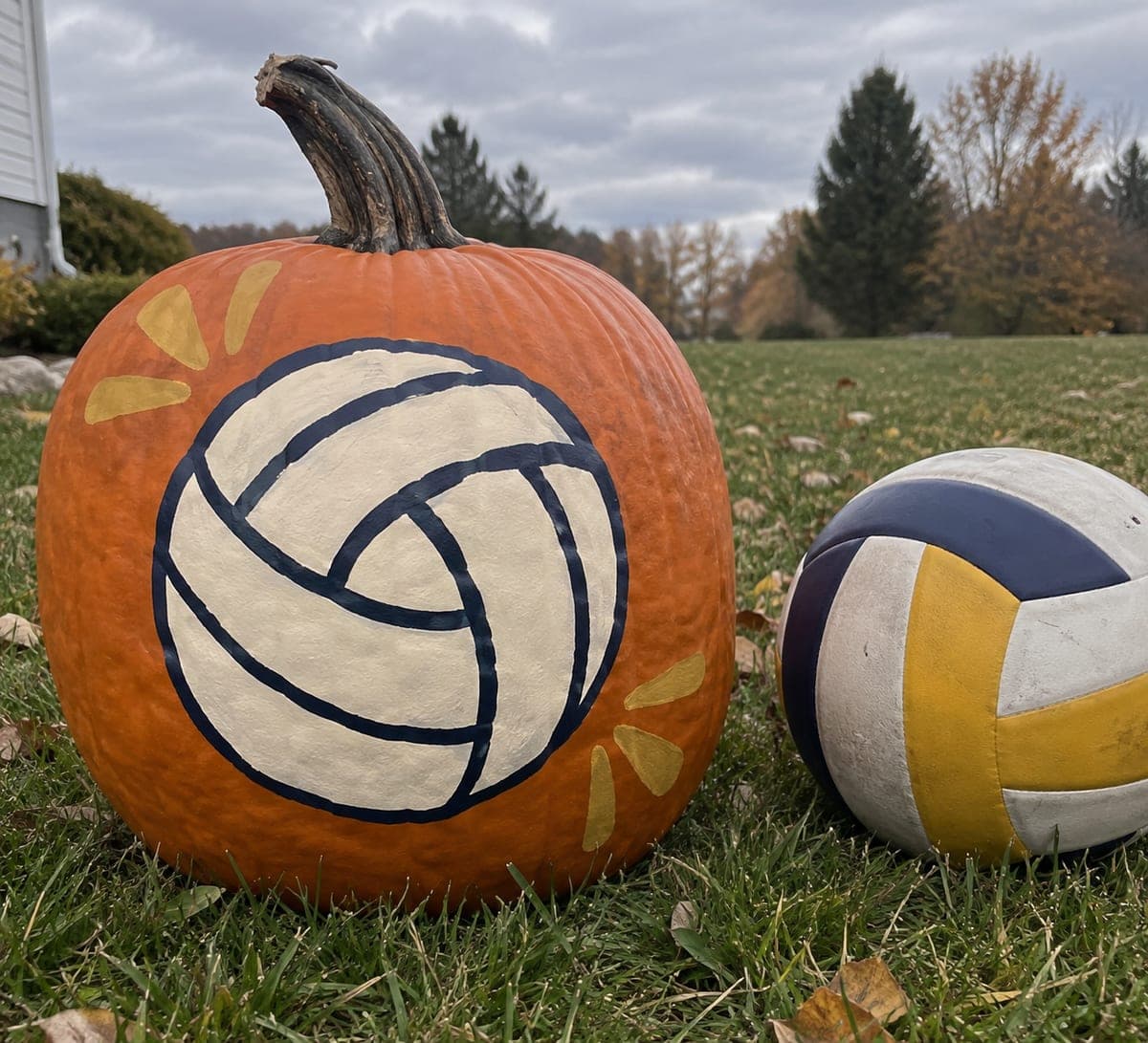 Cream and Navy Volleyball Painted on Orange Pumpkin