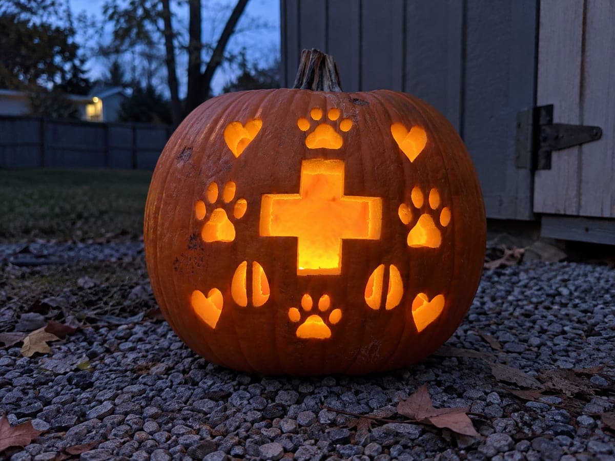 Cross Heart and Footprints Expert Veterinary Pumpkin
