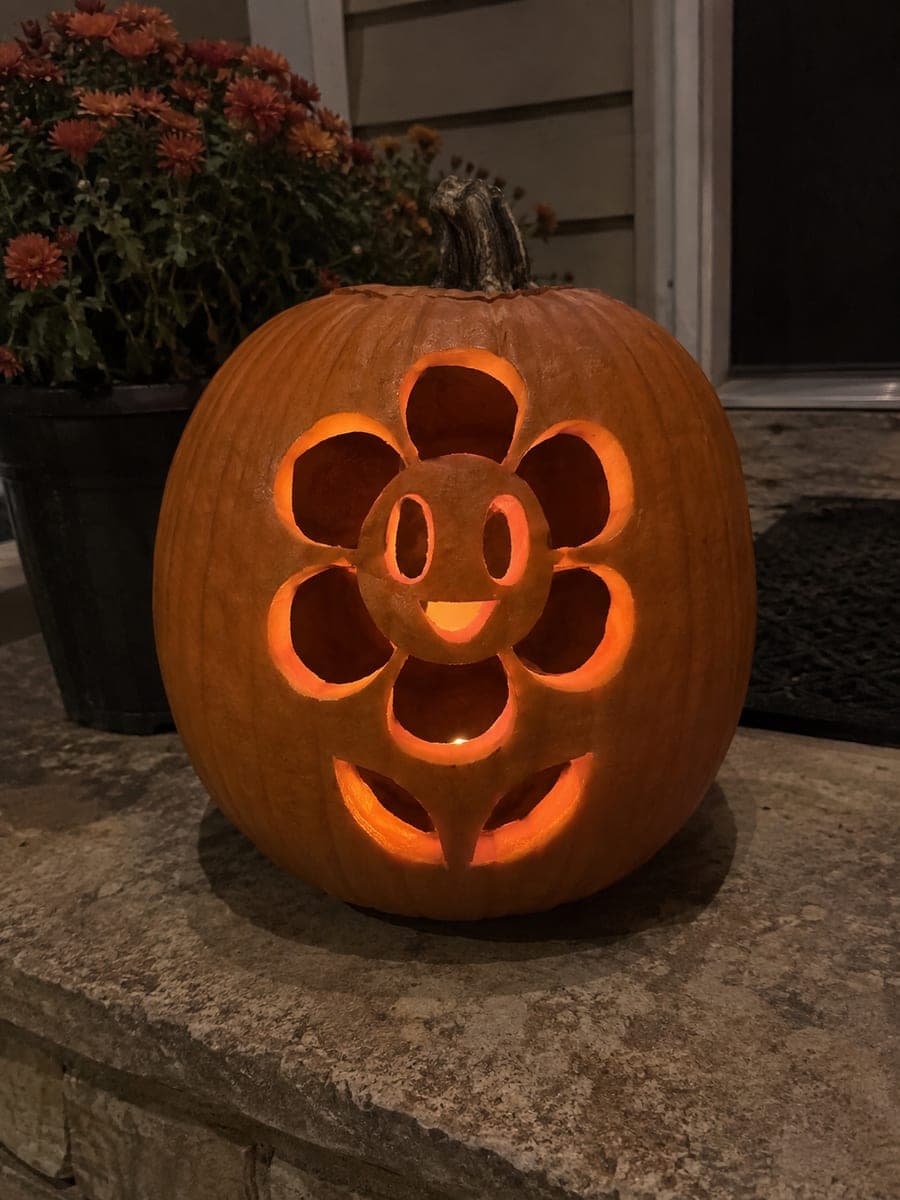 Dandy Smiling Six-Petal Flower Pumpkin With Leaves