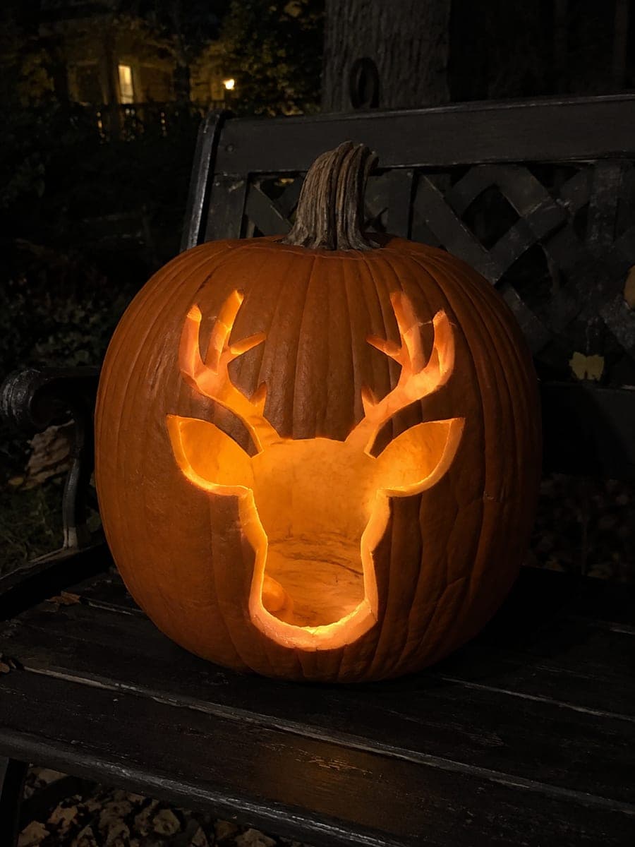 Deer Head Silhouette Hunting Pumpkin Carving