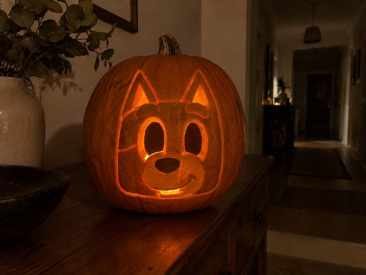 Easy Bluey Heeler Pumpkin Carving for Kids