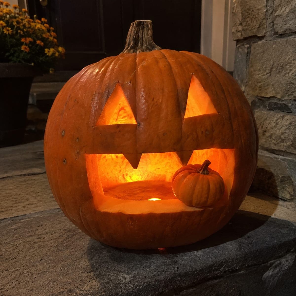 Easy Pumpkin Eating a Tiny Resting Gourd