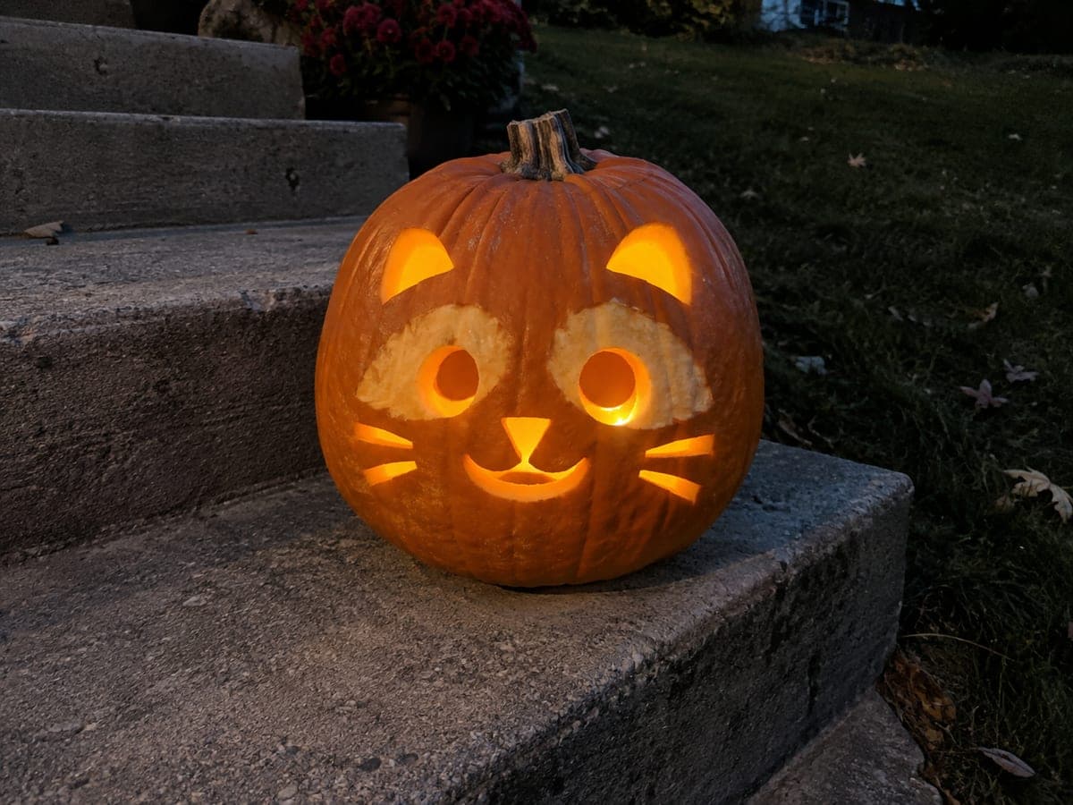 Easy Raccoon Pumpkin Carving with Mask Cutout