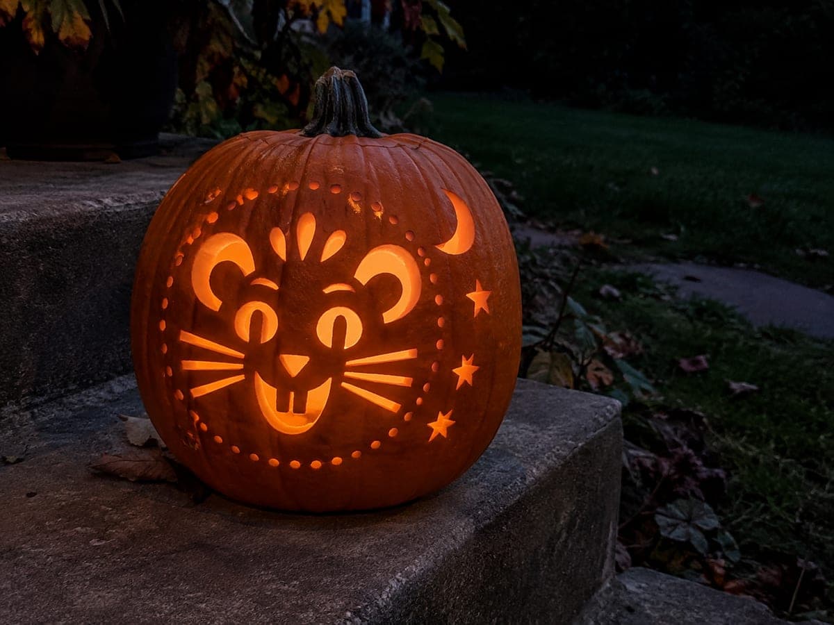Expert Rat Pumpkin Carving with Dense Portrait Apertures