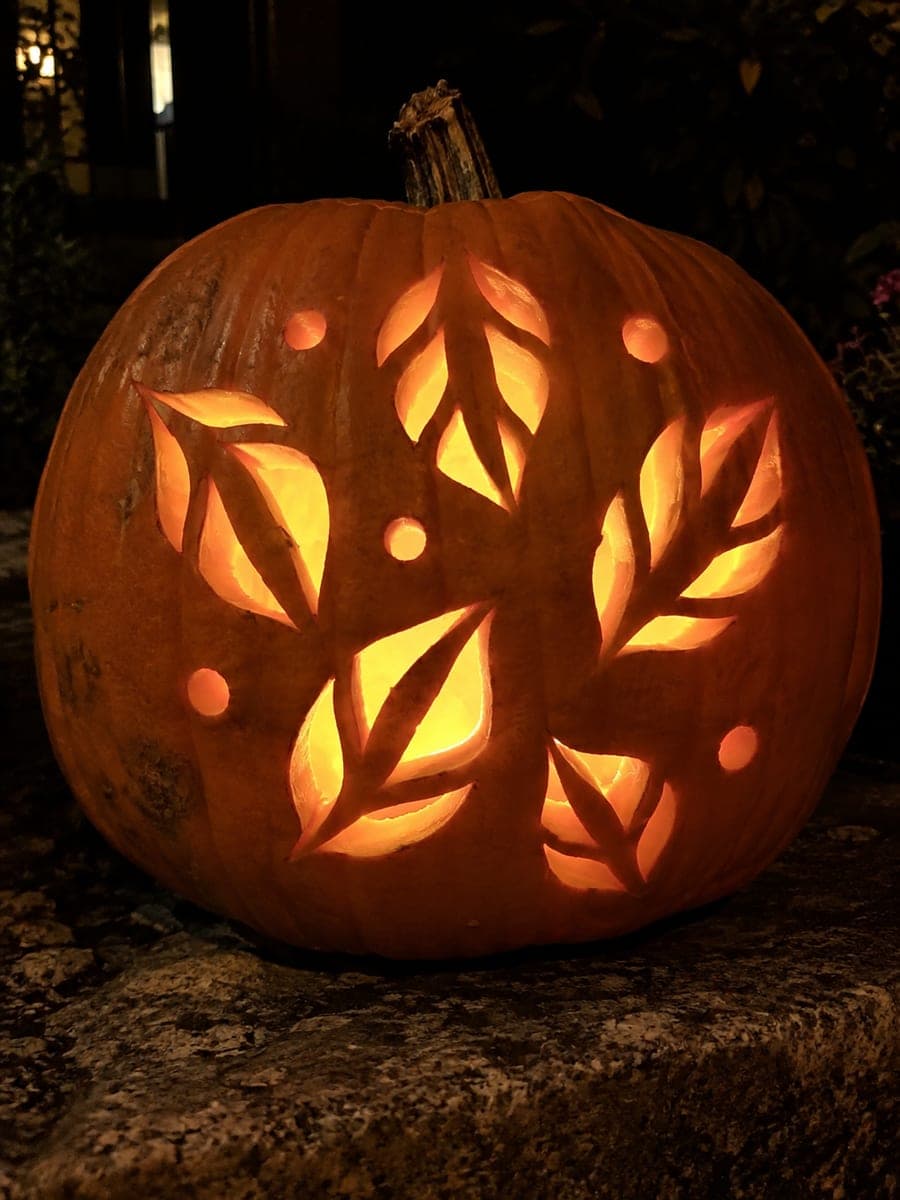 Five Veined Falling Leaf Pumpkin with Berry Holes