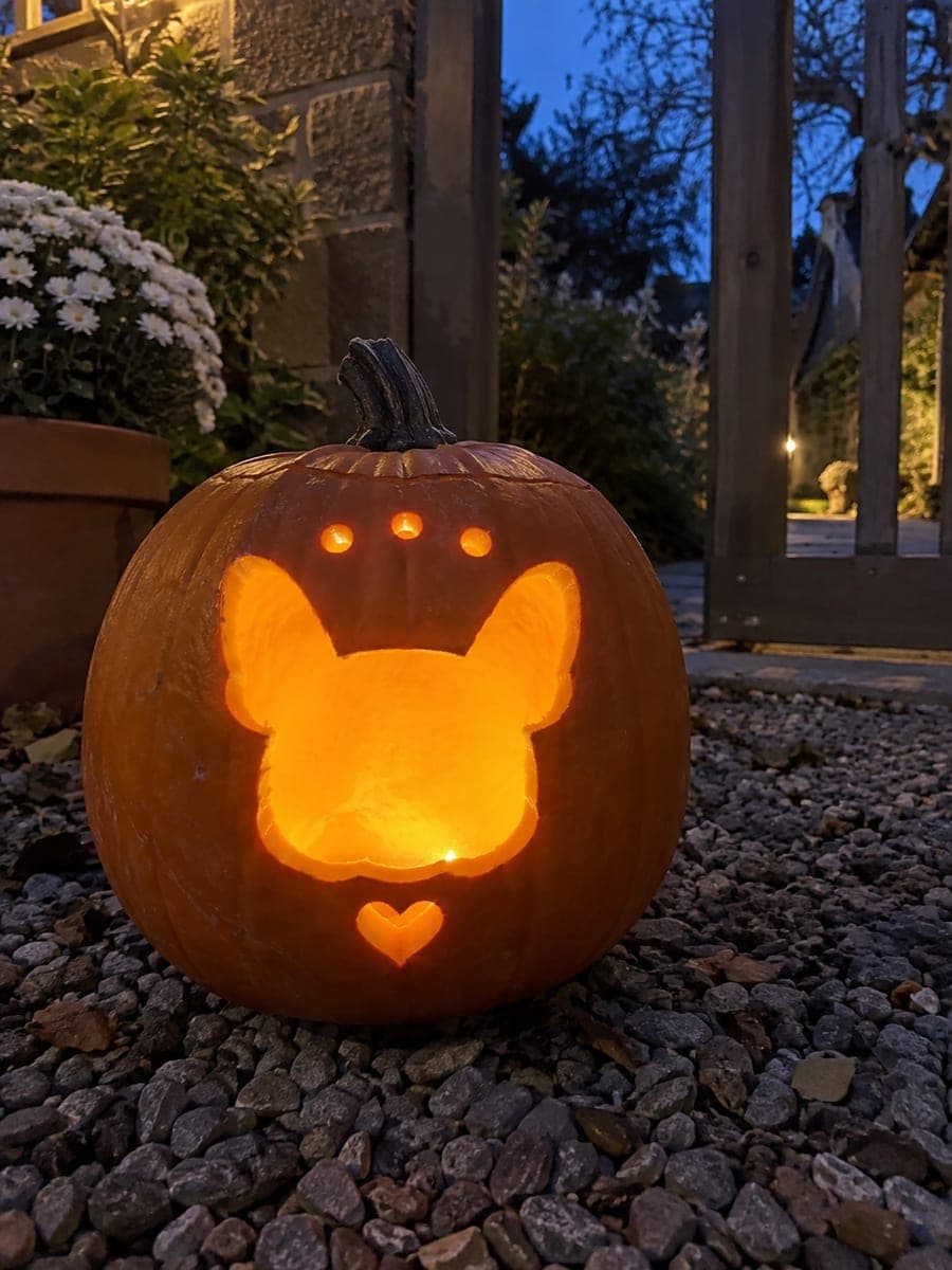 French Bulldog Silhouette and Heart Pumpkin