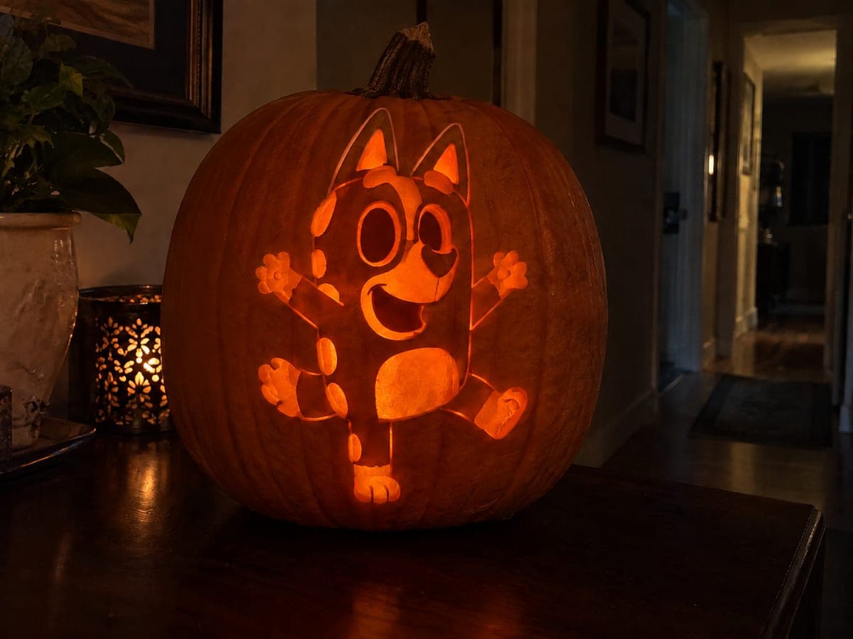 Full-Body Bingo Heeler Pumpkin Carving