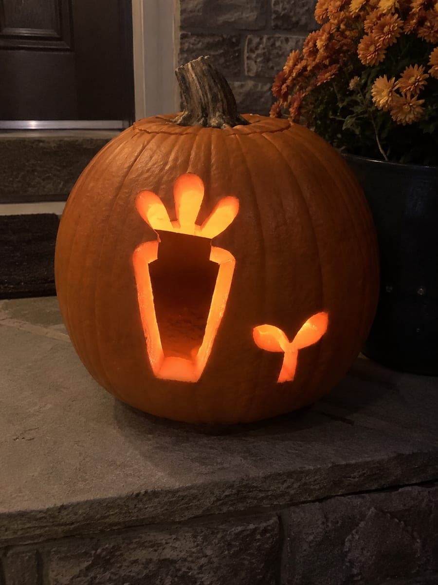 Fall & Harvest pumpkin carving examples
