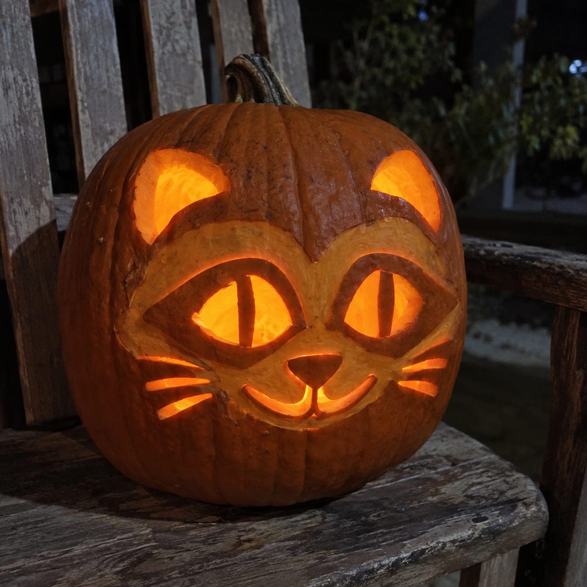 Intermediate Raccoon Jack-O-Lantern with Face Mask Detail