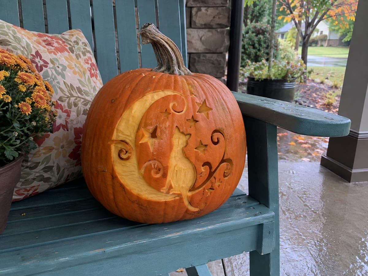 Moon, Cat and Stars Shallowly Scraped Pumpkin Design