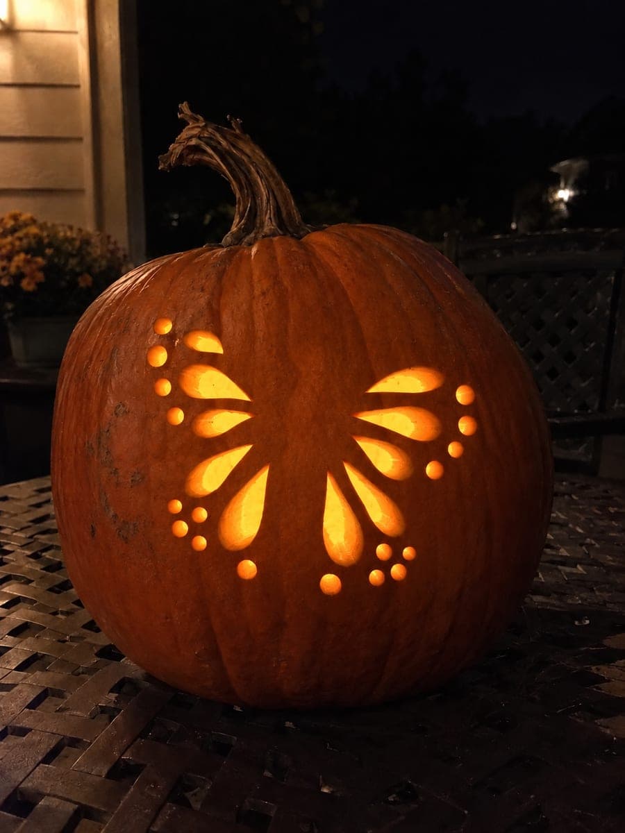 Moth Pattern Cutout Odd Shaped Pumpkin Lantern