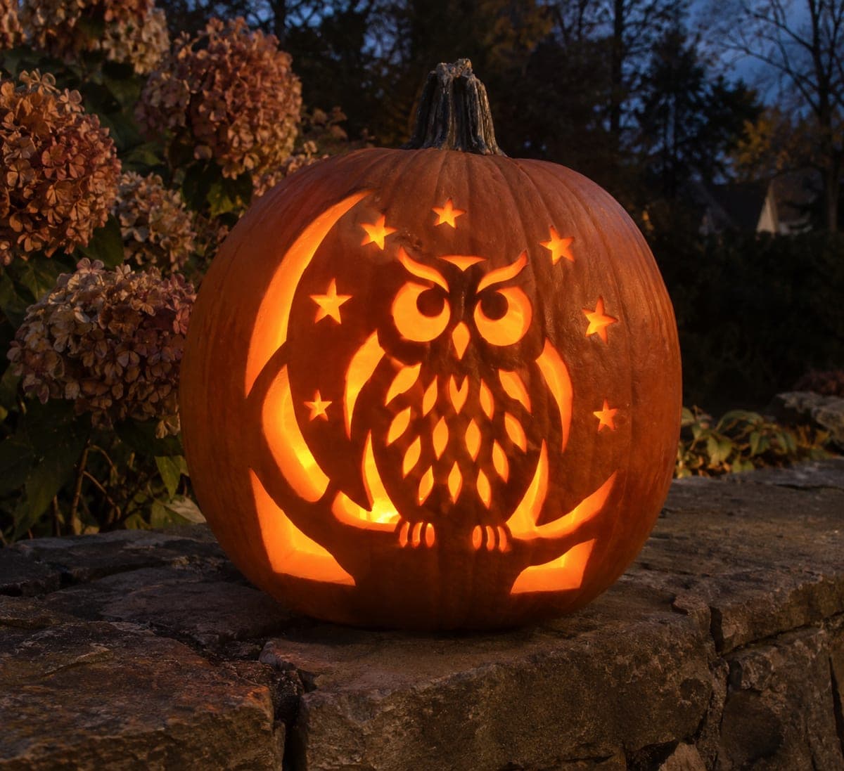 Owl on Branch Classic Jack-O-Lantern Pumpkin Carving