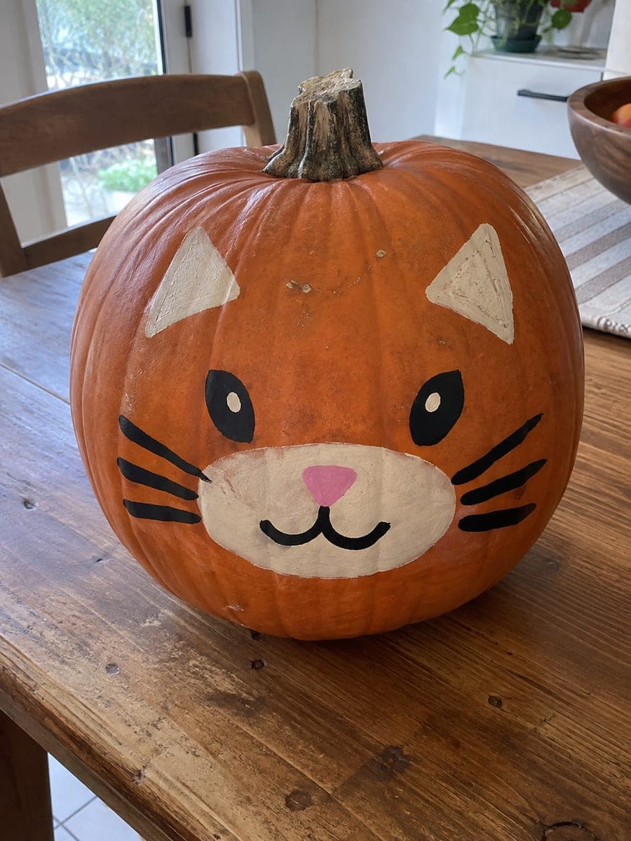 Painted Cat Pumpkin with Cream Muzzle and Pink Nose