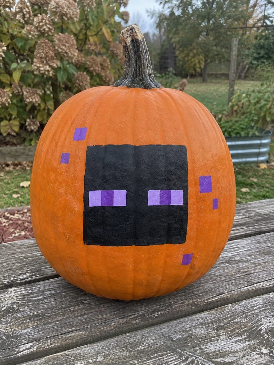 Painted Enderman Pumpkin No-Carve Minecraft Design