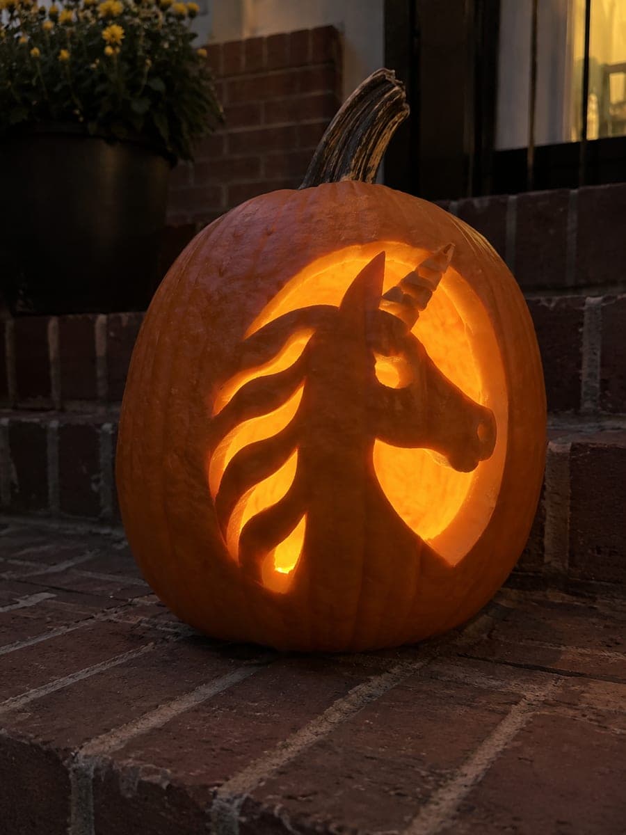 Retained Unicorn Head in an Oval Window Pumpkin Carving