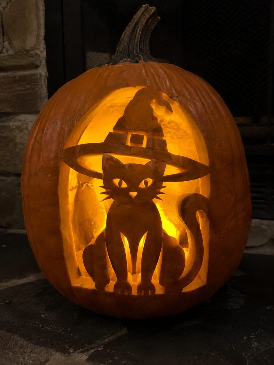 Retained Witch Hat Cat in Arch Window Pumpkin Carving