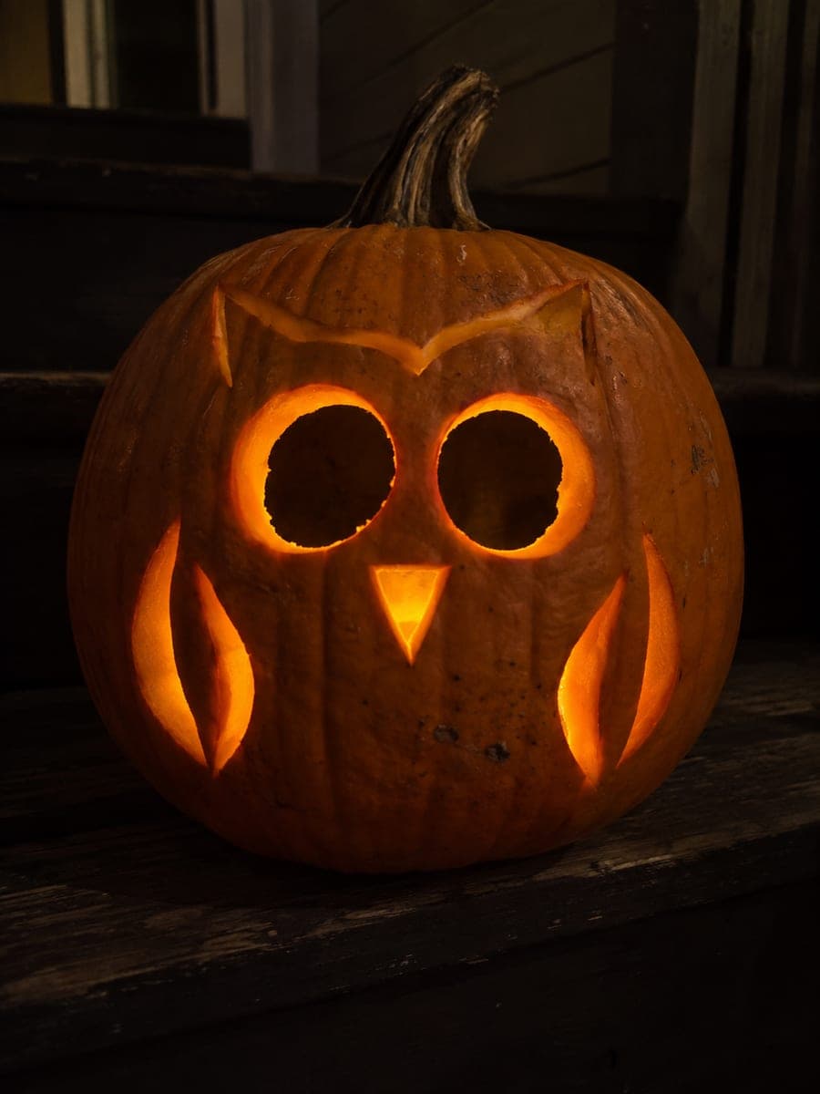 Round-Eyed Owl Pumpkin with Wing Relief Shading