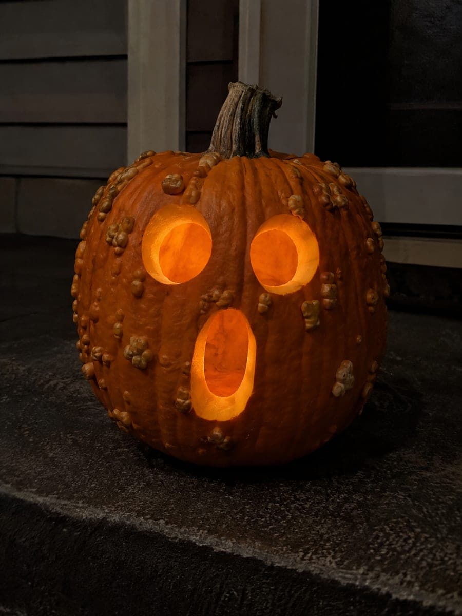 Round Eyes and Surprised Mouth Bumpy Pumpkin
