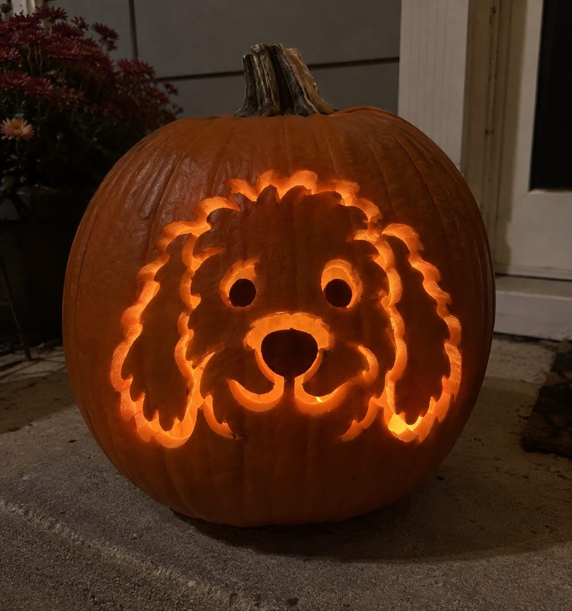 Shaggy Labradoodle Pumpkin Carving with Round Eyes