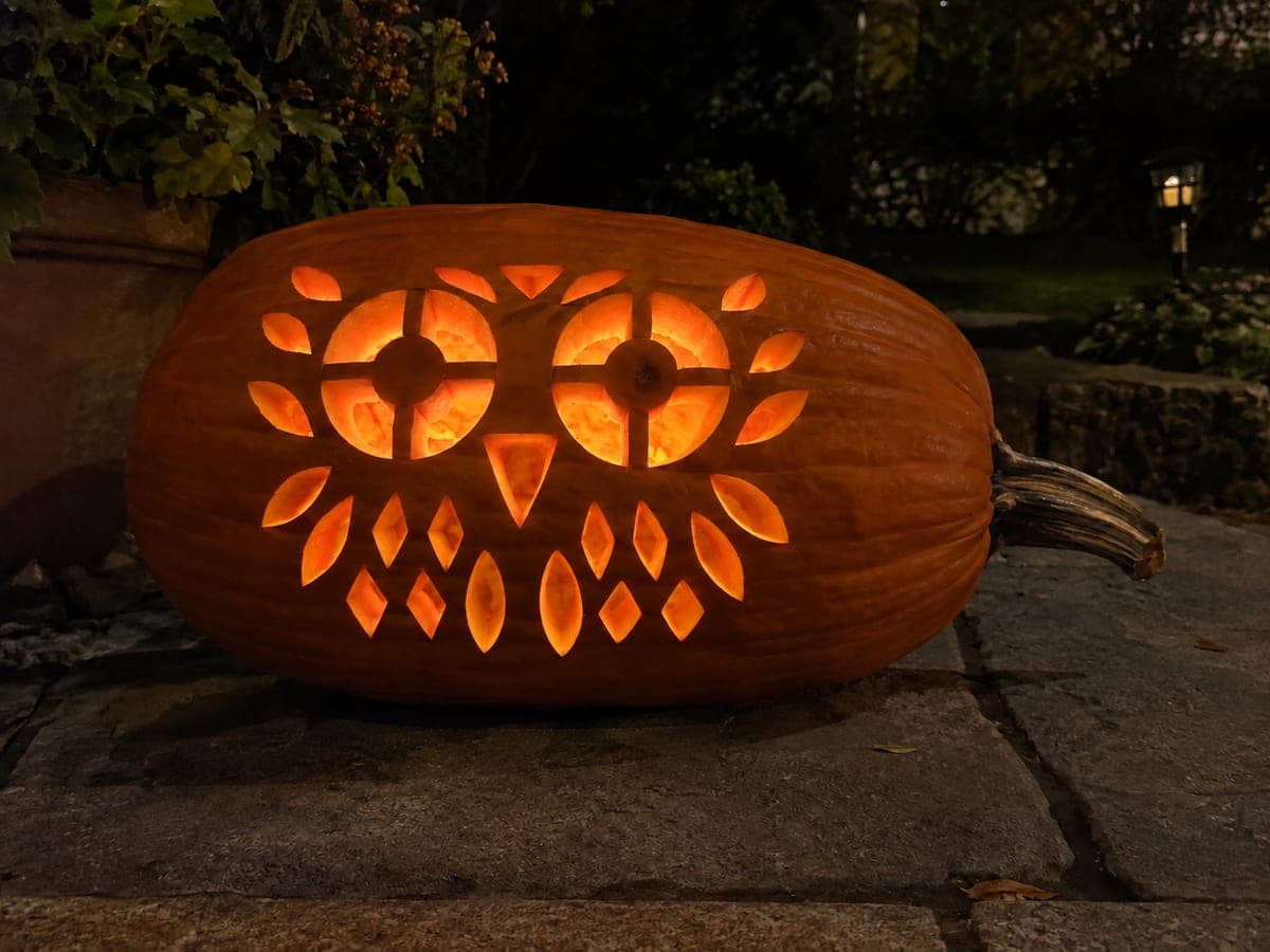 Sideways Owl Pumpkin With Crossbar Eyes and Feather Holes