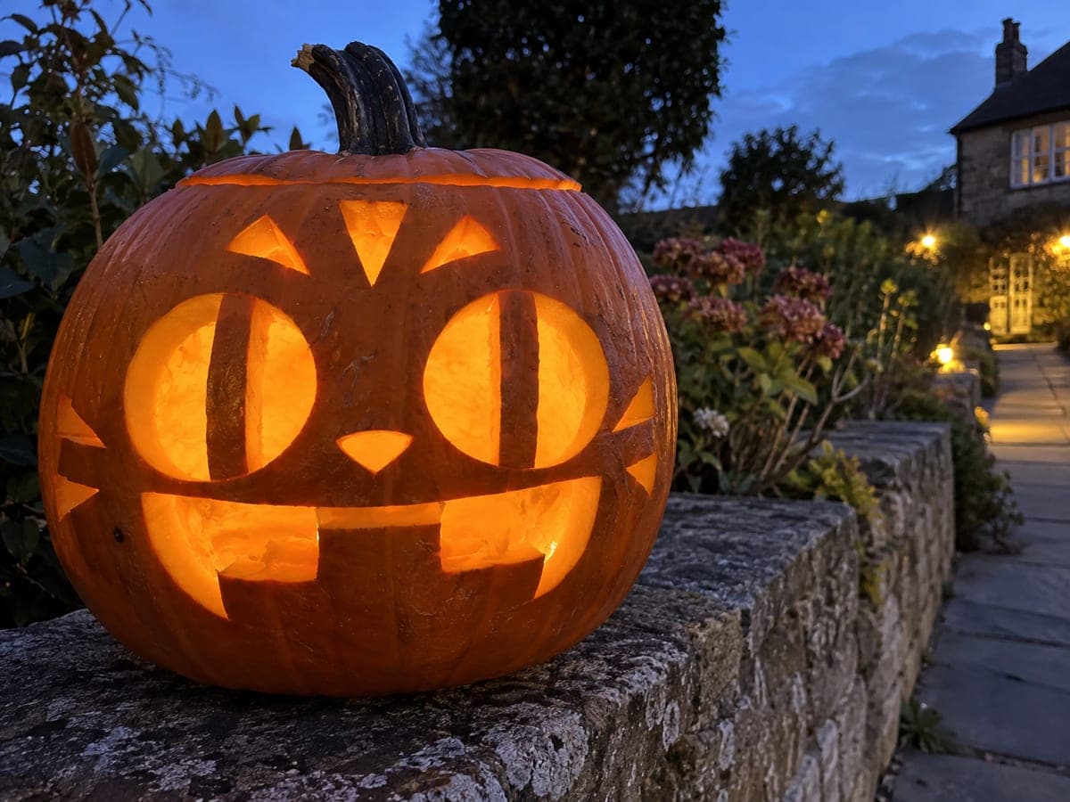 Silly Derpy Tiger Pumpkin With Chunky Grin