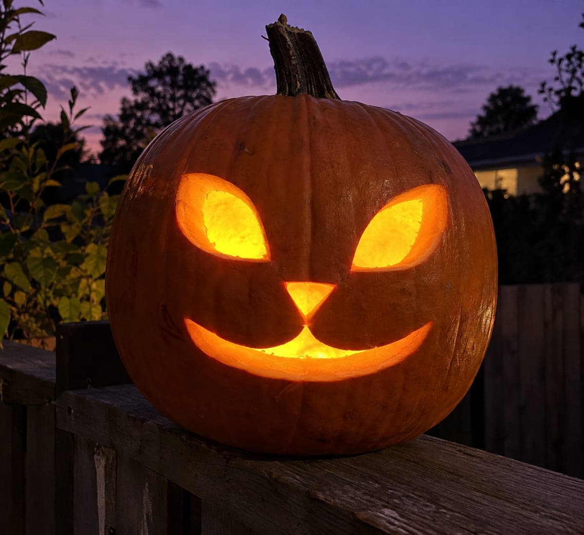 Simple Cat Face Pumpkin Carving Idea