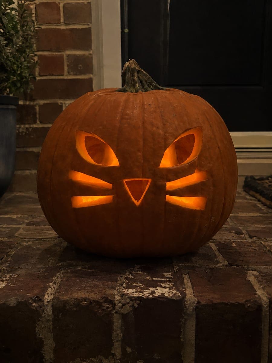 Spooky Cat Face Pumpkin with Slanted Eyes and Whiskers