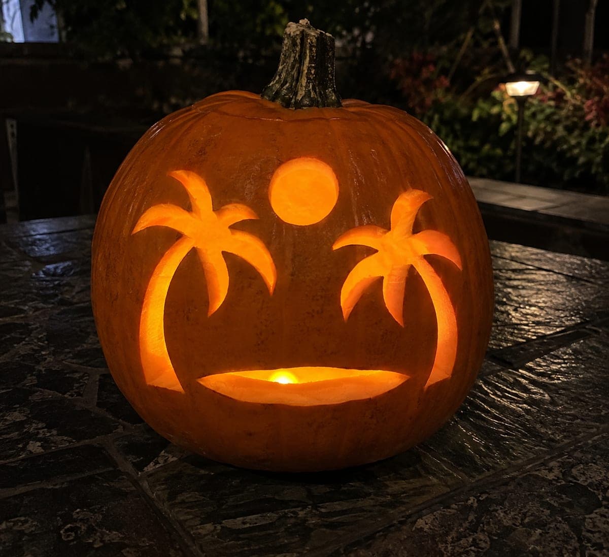 Twin Palm Silhouettes and Sun Pumpkin Carving