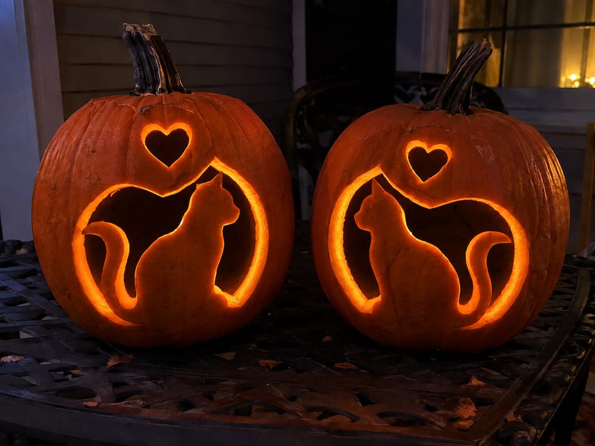 Two Cats With Heart Windows Couple Pumpkin