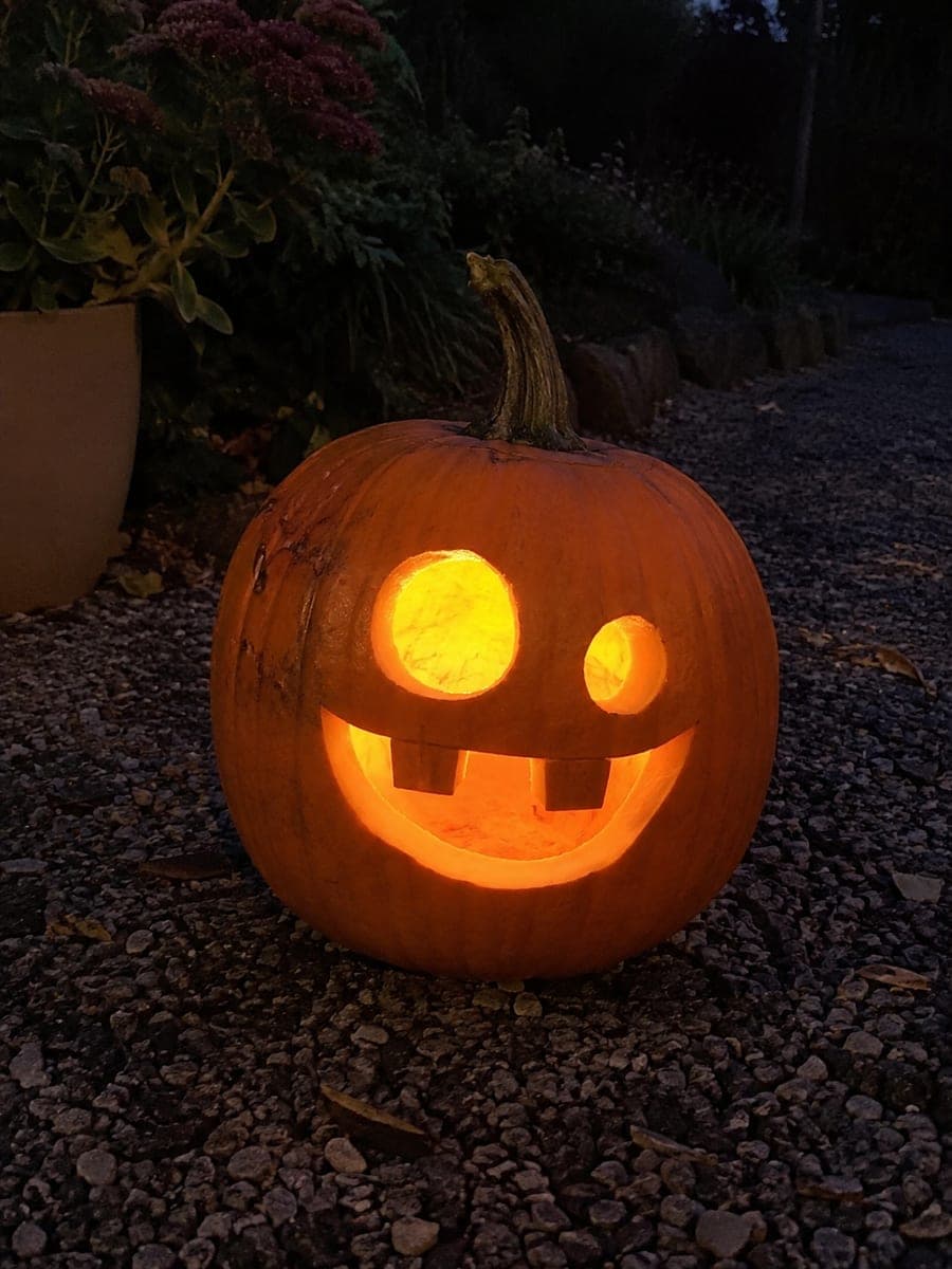 Two-Eyed Monster Pumpkin with Chunky Top-Edge Teeth