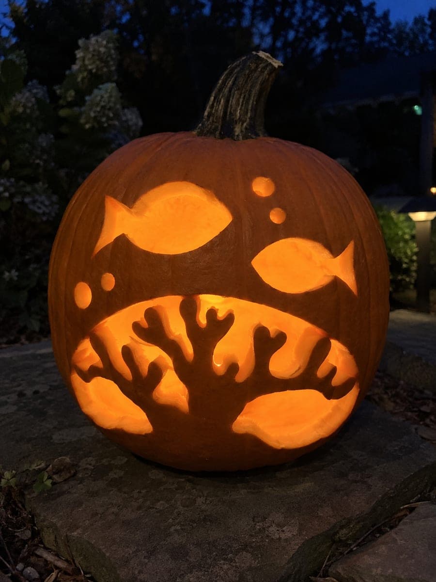 Underwater Pumpkin Carving With Fish and Branching Coral