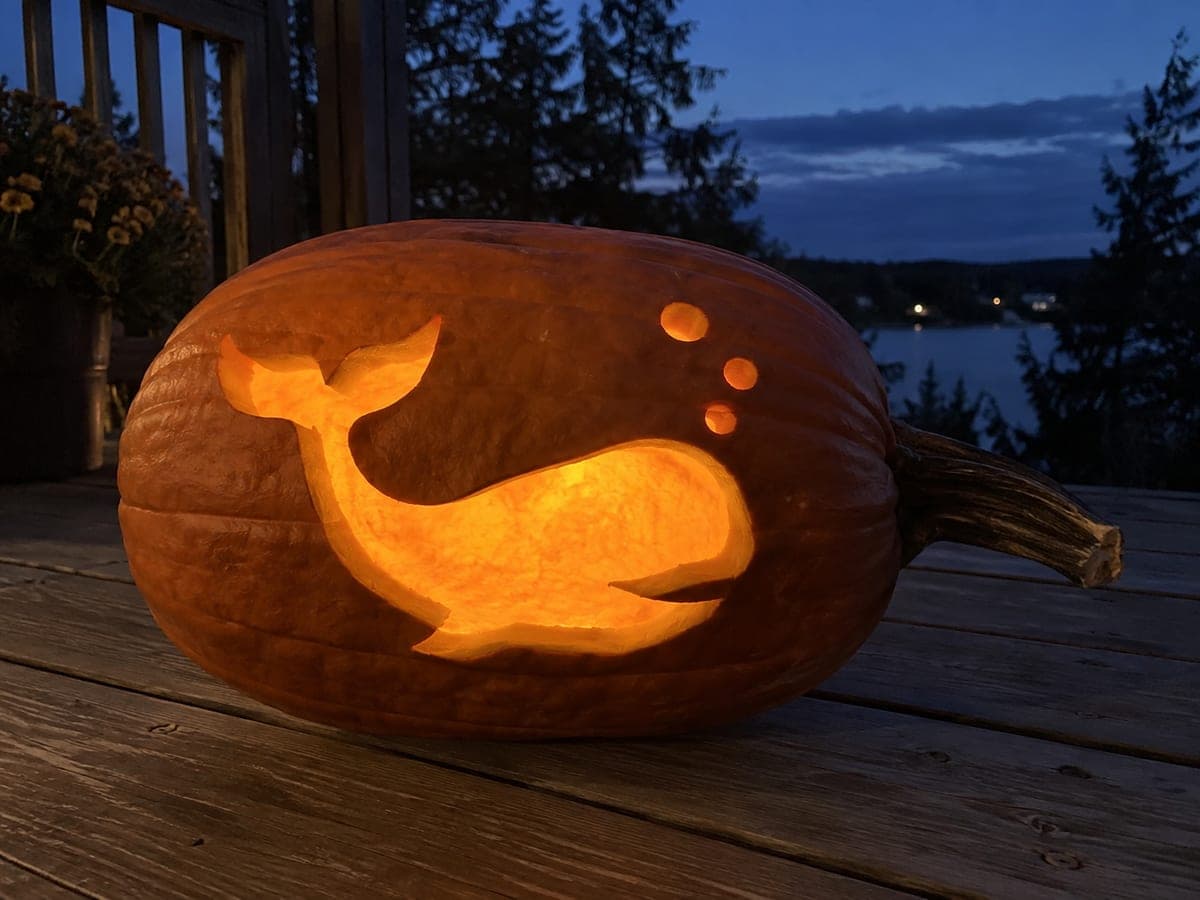 Whale Silhouette Sideways Pumpkin on a Wooden Deck