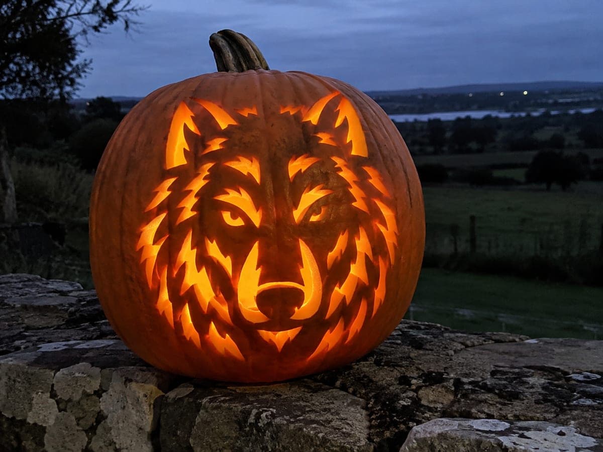 Wolf Face Stencil Realistic Pumpkin Carving Design