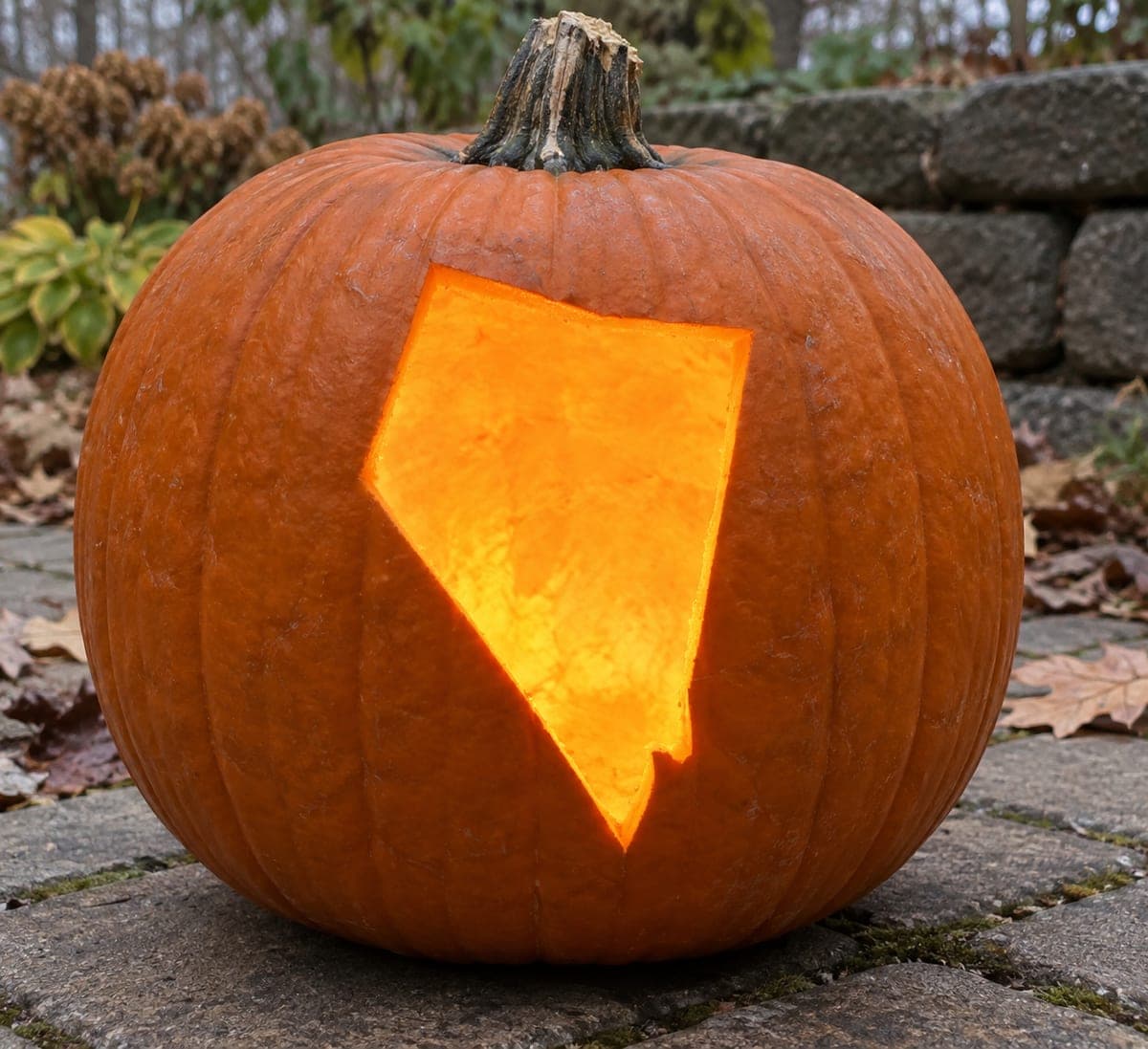 Nevada Angled State Pumpkin