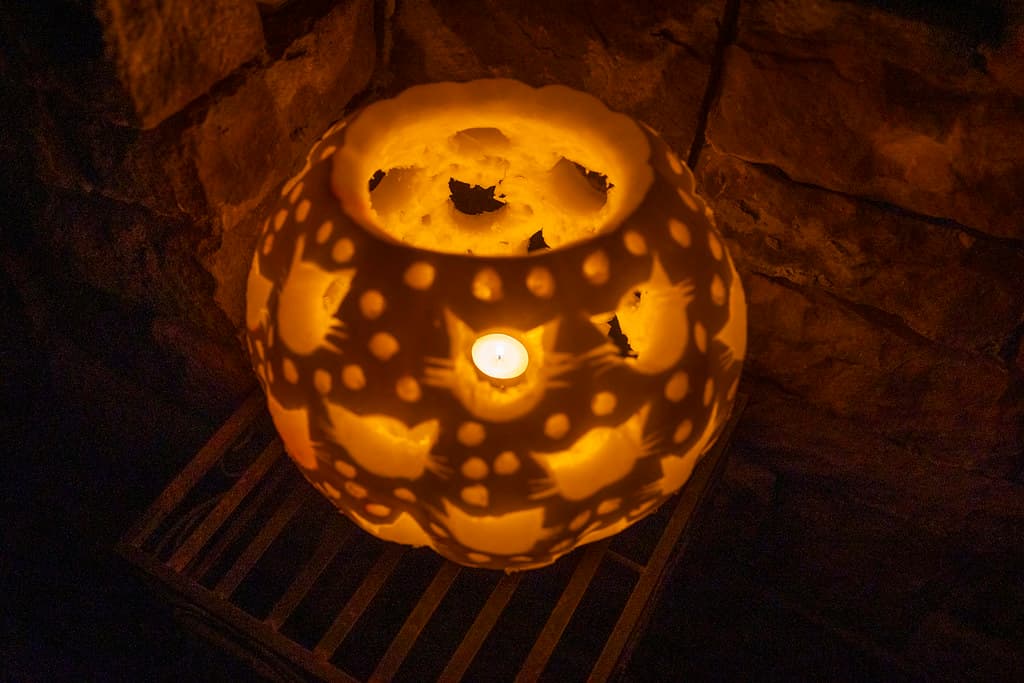 Cat silhouette luminary