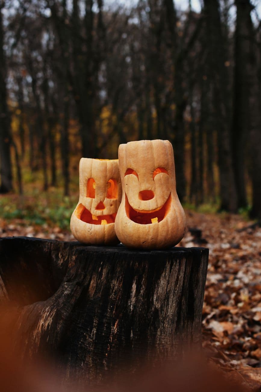 Happy little pumpkin