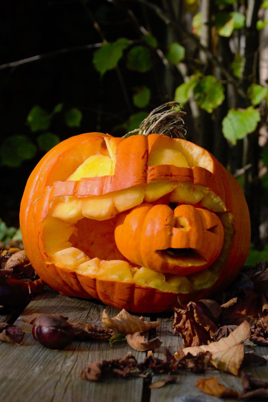 Pumpkin eat pumpkin world