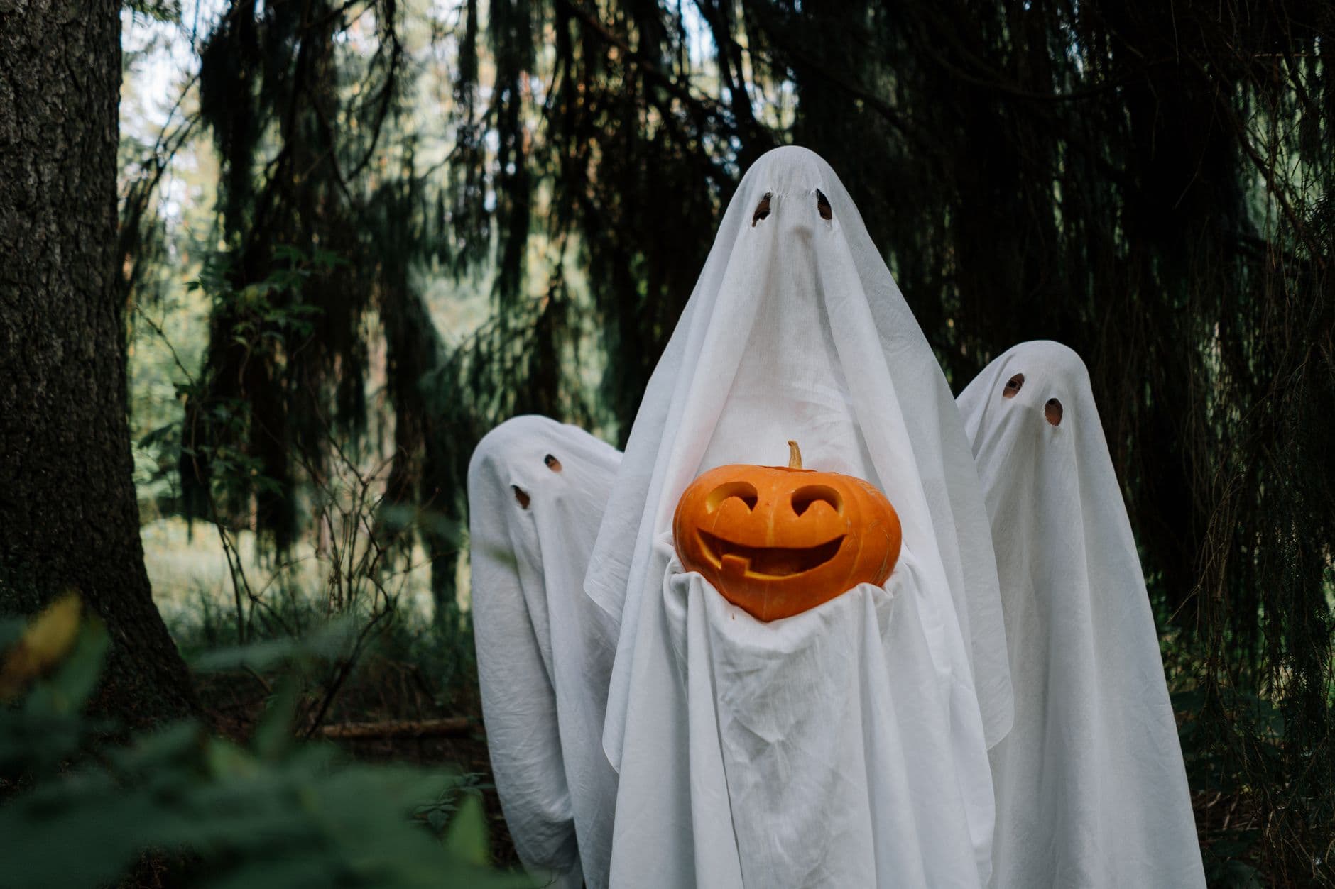 The ghosts brought a friend
