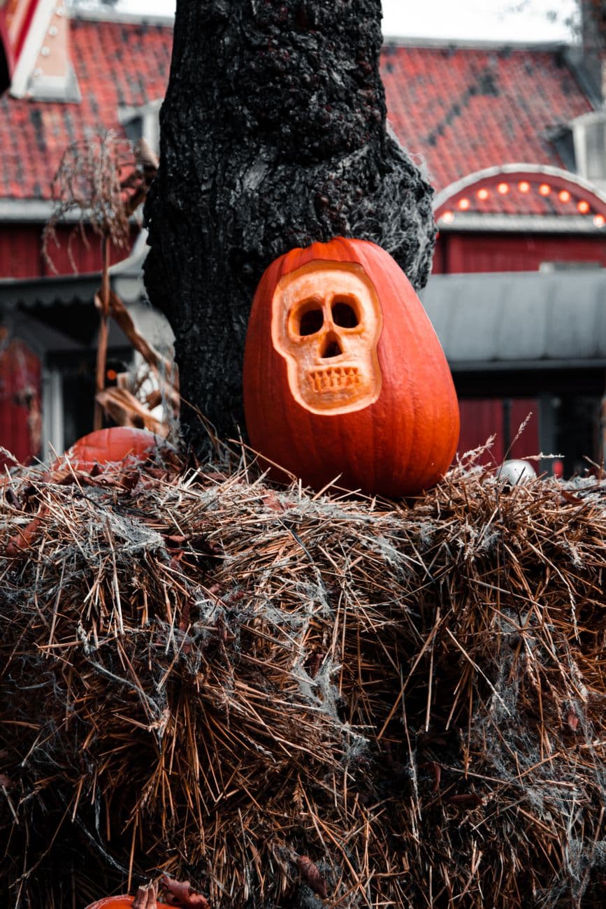 Skull on the haystack
